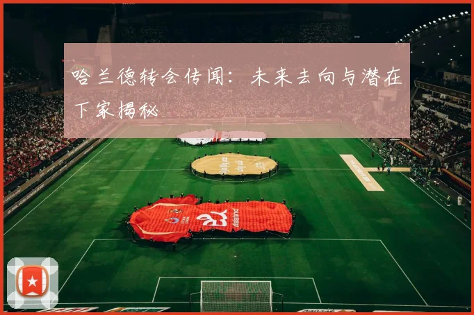 哈兰德转会传闻：未来去向与潜在下家揭秘