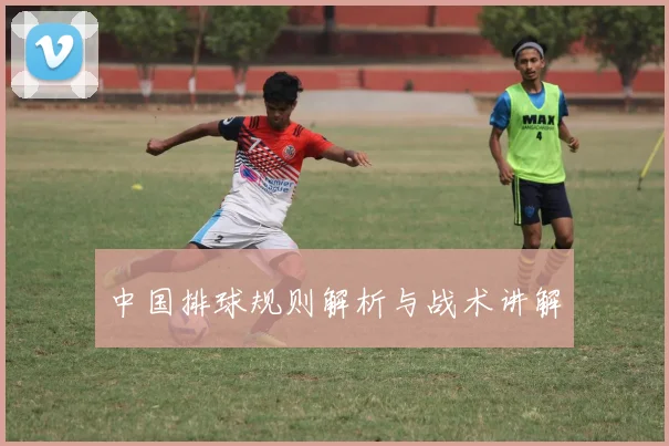 中国排球规则解析与战术讲解