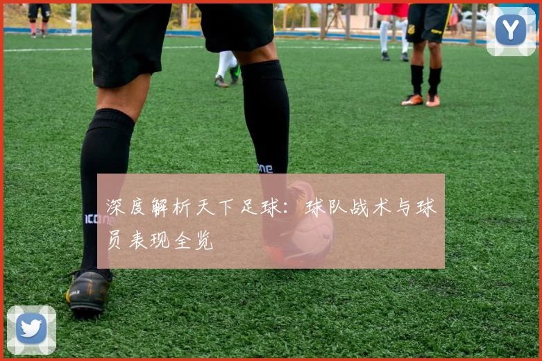 深度解析天下足球：球队战术与球员表现全览