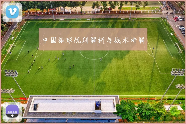中国排球规则解析与战术讲解