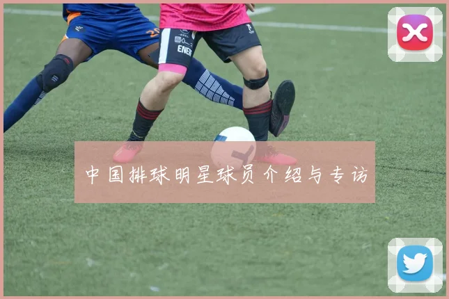 中国排球明星球员介绍与专访