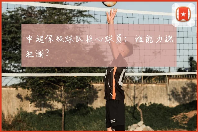 中超保级球队核心球员：谁能力挽狂澜？