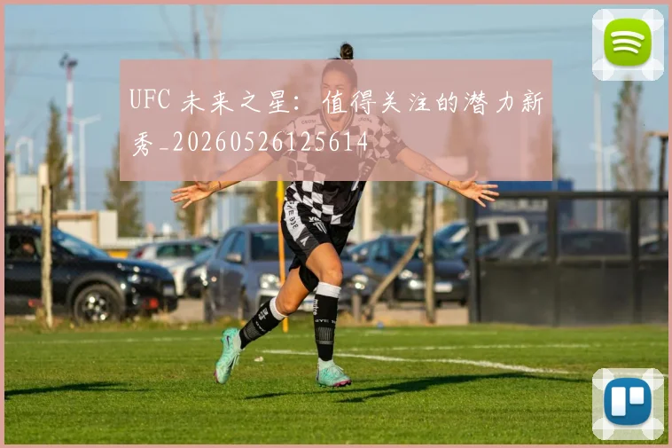 UFC 未来之星：值得关注的潜力新秀_20260526125614