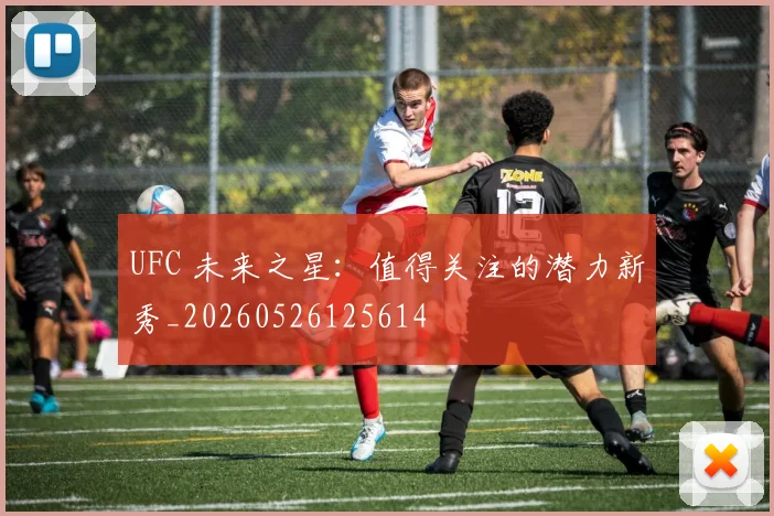 UFC 未来之星：值得关注的潜力新秀_20260526125614